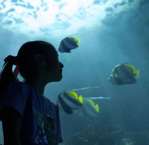 Cómo Acuario Inbursa despierta la creatividad infantil: una visita inolvidable en CDMX