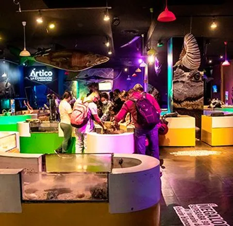 ¿Ya visitaste el Acuario Interactivo?