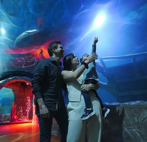Vacaciones en Acuario Inbursa: el plan imperdible para disfrutar en la CDMX