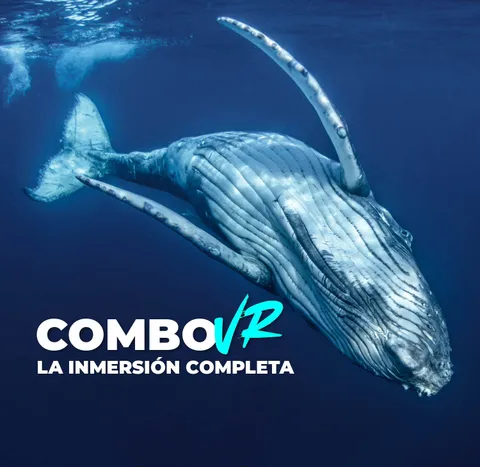 ¡Atención! El mundo marino más cerca que nunca con nuestra experiencia de Realidad Virtual