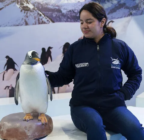 ¿Dónde puedes ver pingüinos en México? Hay un lugar en CDMX que lo hace posible