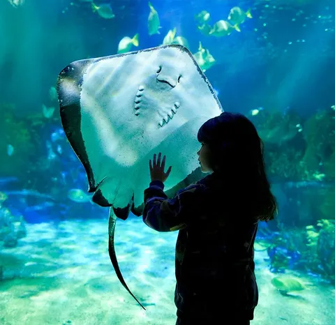 Cdmx: 5 planes inolvidables para niños estas vacaciones