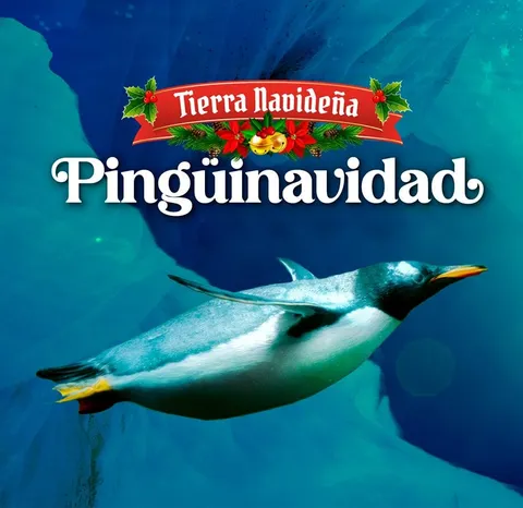 LA PINGÜINAVIDAD 2024 LLEGO A ACUARIO INBURSA