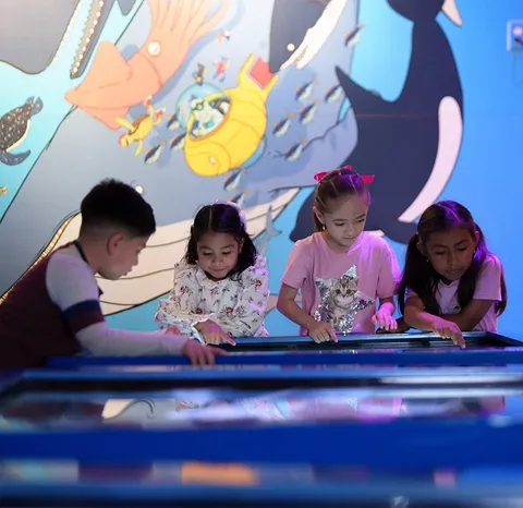 3 Actividades interactivas en Acuario Inbursa: ¡Aprende y toca la vida marina!