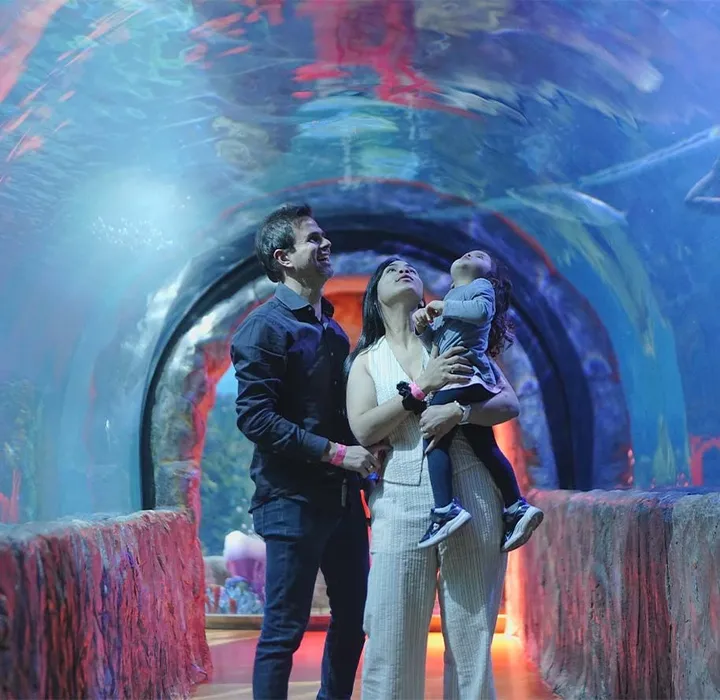 Qué Hacer en CDMX Este Verano: Visita Acuario Inbursa